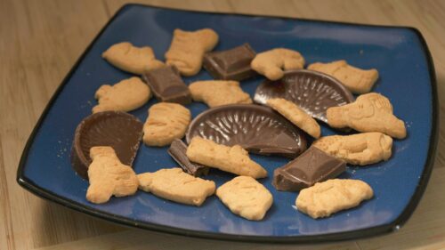 Delicious Assorted Chocolate and Animal Crackers on Blue Plate Desktop Wallpaper