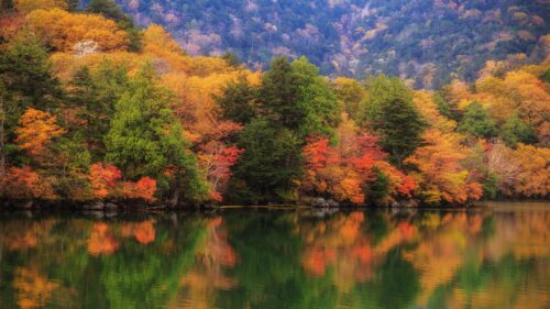 Stunning Autumn Foliage Reflected in Lake Surface Desktop Wallpaper