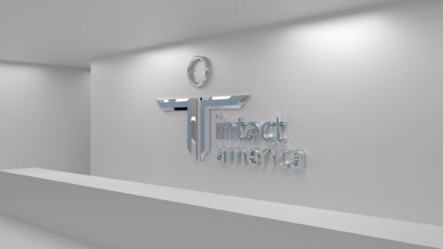 Minimalist Intact America Corporate Logo 3D Metallic Design Desktop Wallpaper
