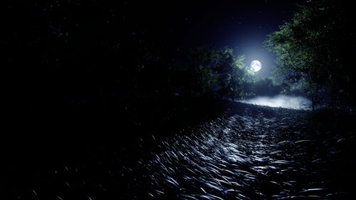 Enchanting Night Forest Landscape Under Full Moon 4K Desktop Wallpaper