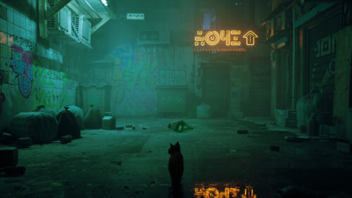 Stray Cat in Cyberpunk City Alleyway 4K PC Wallpaper