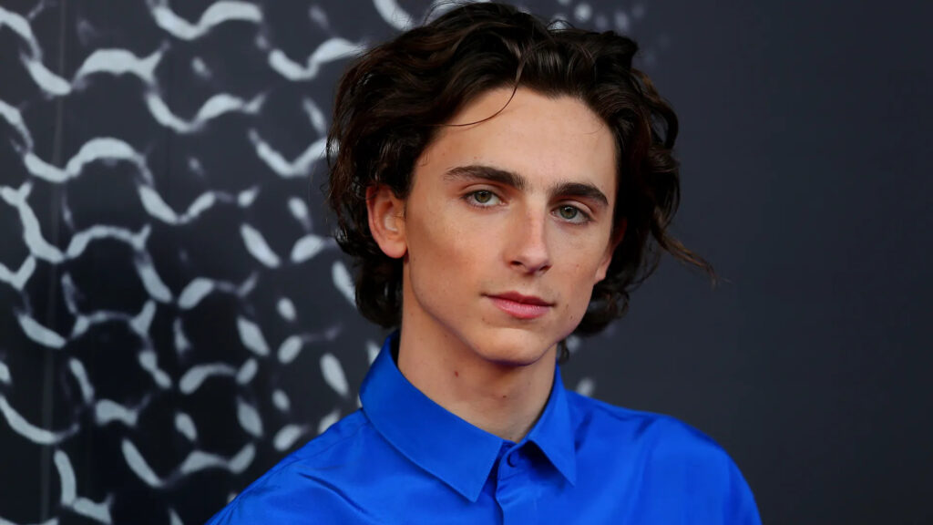 Timothée Chalamet Portrait 4K Desktop Wallpaper