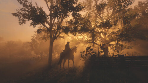Silhouette of a Cowboy Riding a Horse Desktop Wallpaper