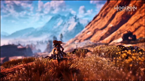 Aloy Exploring the Wilds Horizon Zero Dawn 4K Desktop Wallpaper