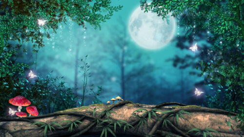 Enchanted Mystical Forest Under Moonlight Desktop Wallpaper