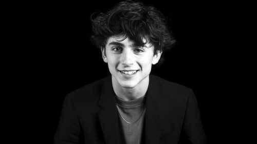 Timothée Chalamet Portrait Monochrome Desktop Wallpaper