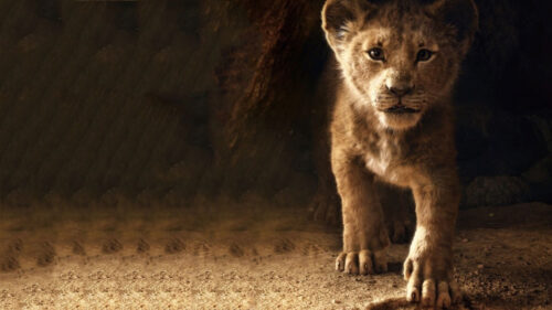Young Simba from The Lion King High Definition Desktop Wallpaper