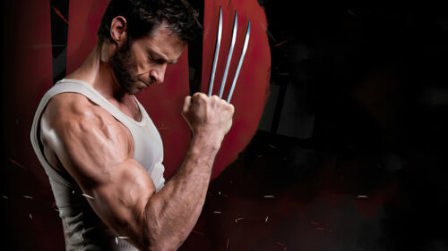 Wolverine Hugh Jackman Fierce Pose 4K Desktop Wallpaper