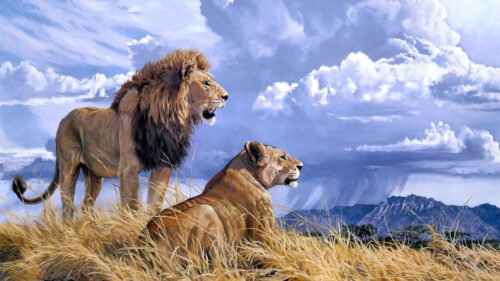 Majestic Lion and Lioness Wildlife Art 4K Desktop Wallpaper