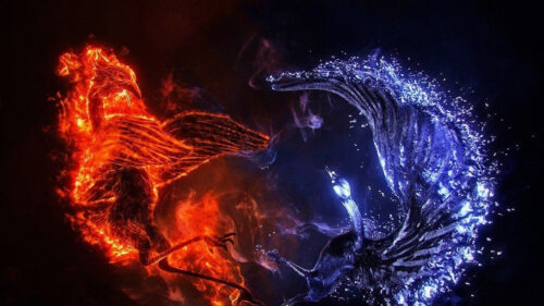 Fire and Water Elemental Birds 4K Desktop Wallpaper