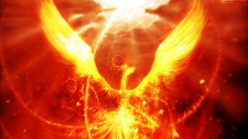Fiery Mythical Bird Abstract Art Desktop Wallpaper
