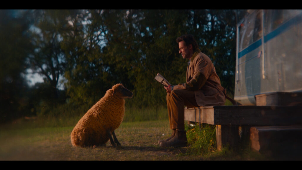 Hugh Jackman with a Sheep at Sunset Desktop Wallpaper