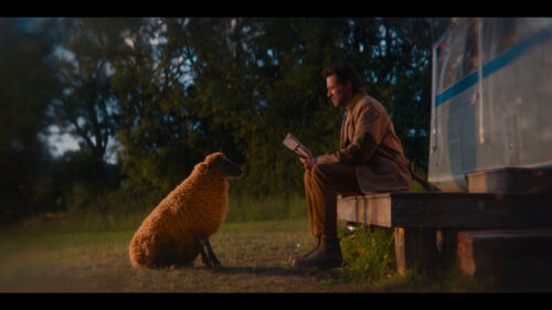 Hugh Jackman with a Sheep at Sunset Desktop Wallpaper