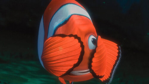 Nemo Clownfish High-Definition Underwater PC Wallpaper