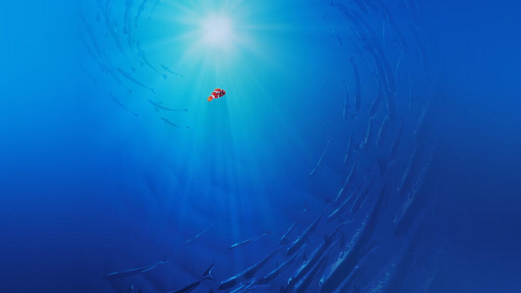 Nemo Swimming in Deep Blue Ocean Desktop Wallpaper