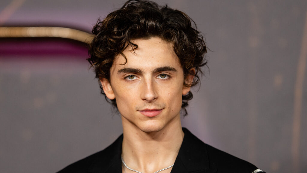 Timothée Chalamet Formal Portrait Desktop Wallpaper