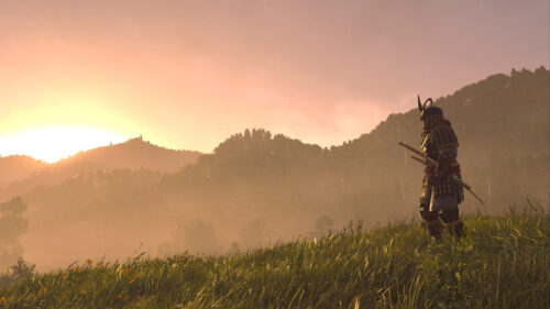 Samurai Warrior Standing in Golden Hour Field Desktop Wallpaper
