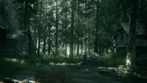 Abandoned Forest Homes and Vehicle 4K Wallpaper