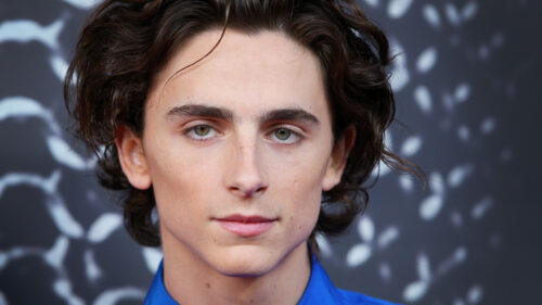 Timothee Chalamet Cinematic Portrait Desktop Wallpaper