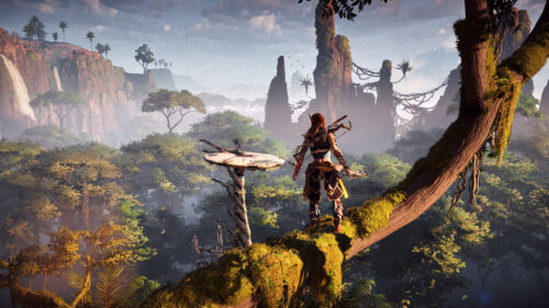 Aloy Looking Over a Lush Tropical Jungle Desktop Wallpaper