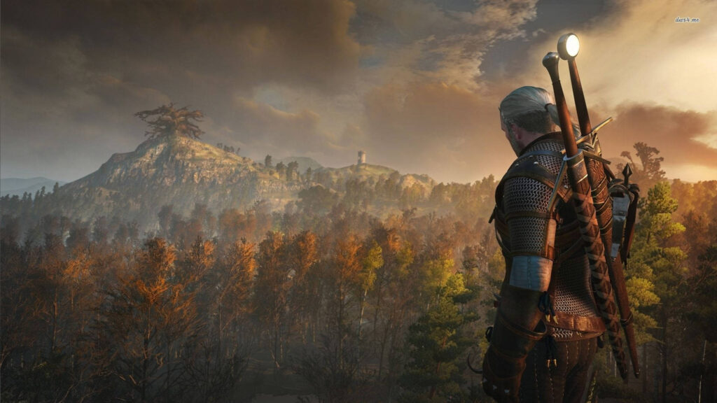 Geralt of Rivia Overlooking the Forest Desktop Wallpaper