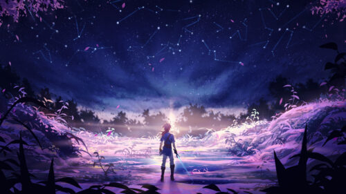 Link Stargazing in Hyrule Fields 4K Desktop Wallpaper