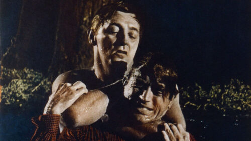Robert Mitchum and Gregory Peck in Cape Fear Desktop Wallpaper