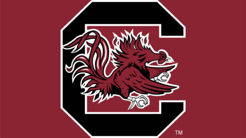University of South Carolina Gamecocks Logo 4K Desktop Wallpaper