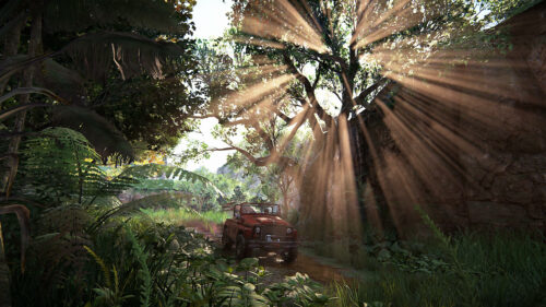 Sunlight Piercing Through Jungle Trees Desktop Wallpaper