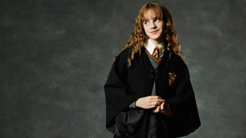 Hermione Granger Harry Potter Portrait Desktop Wallpaper