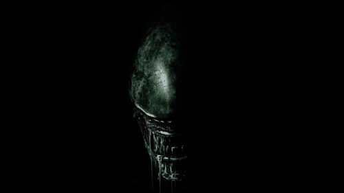Xenomorph Bio-Mechanical Horror Portrait PC Wallpaper