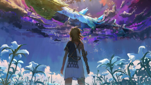Link Gazing at the Light Dragon in Hyrule Field Desktop Wallpaper