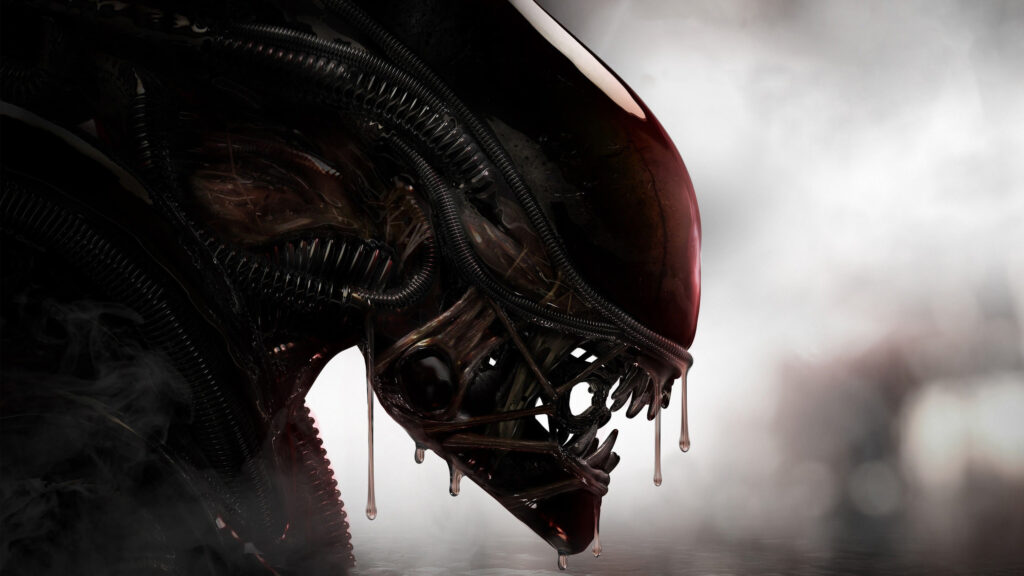 Xenomorph Profile Close-up Desktop Wallpaper