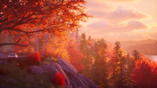Autumn Forest Scenic Landscape Desktop Wallpaper