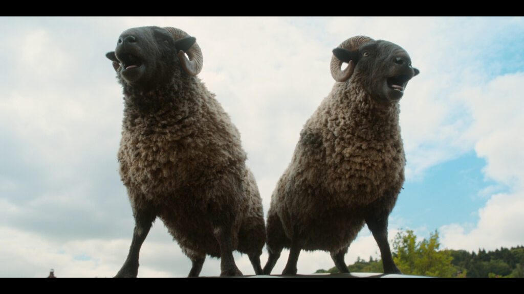 Two Rams Standing Tall Under a Cloudy Sky Desktop Wallpaper