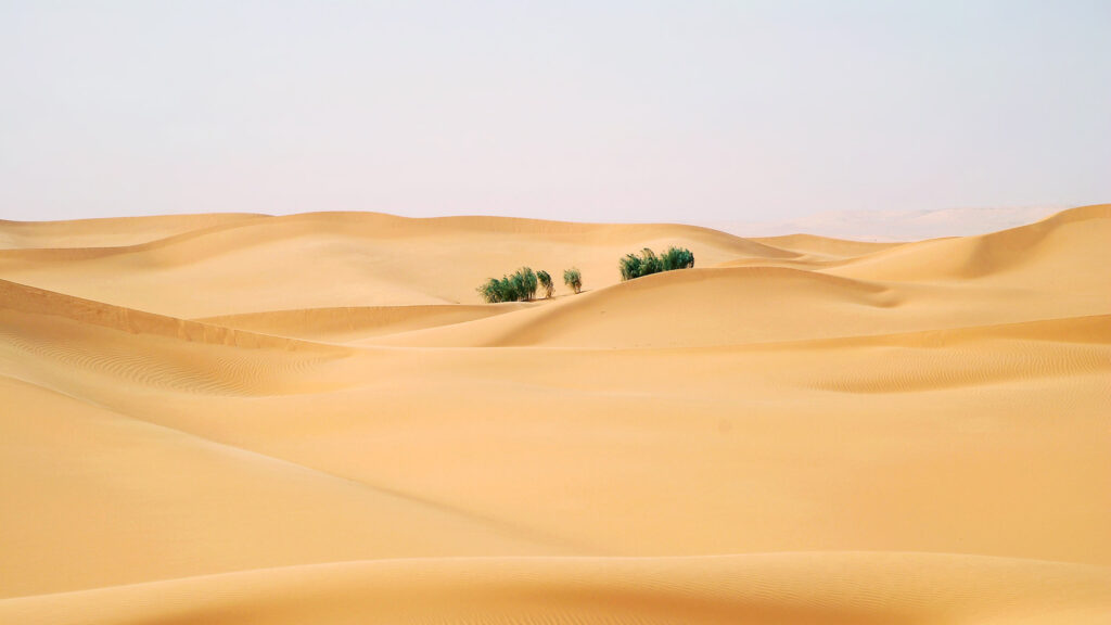 Golden Desert Landscape Desktop Wallpaper