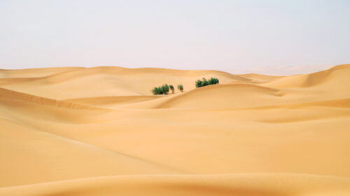 Golden Desert Landscape Desktop Wallpaper
