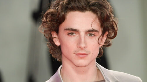Close up Portrait of Actor Timothee Chalamet Desktop Wallpaper