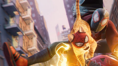 Spider-Man and Spider-Cat Action 4K Desktop Wallpaper
