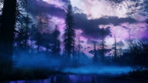 Enchanting Forest Night Nebula View Desktop Wallpaper