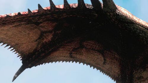 Close-up Dragon Wing Texture Desktop Wallpaper