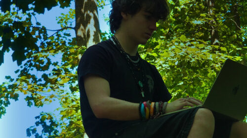 Young Man Working on Laptop Under Trees Desktop Wallpaper