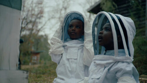 Two Young Boys in Beekeeper Suits Desktop Wallpaper