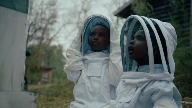 Two Young Boys in Beekeeper Suits Desktop Wallpaper