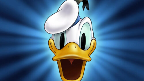 Donald Duck Face Close-Up 4K Desktop Wallpaper