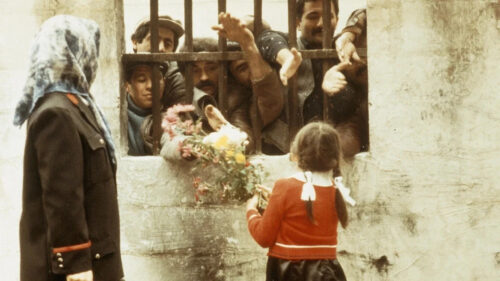 Emotional Scene of Child Offering Flowers Desktop Wallpaper