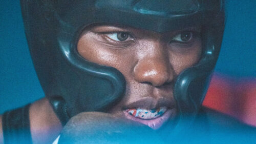 Close-up Boxer with Headgear Desktop Wallpaper