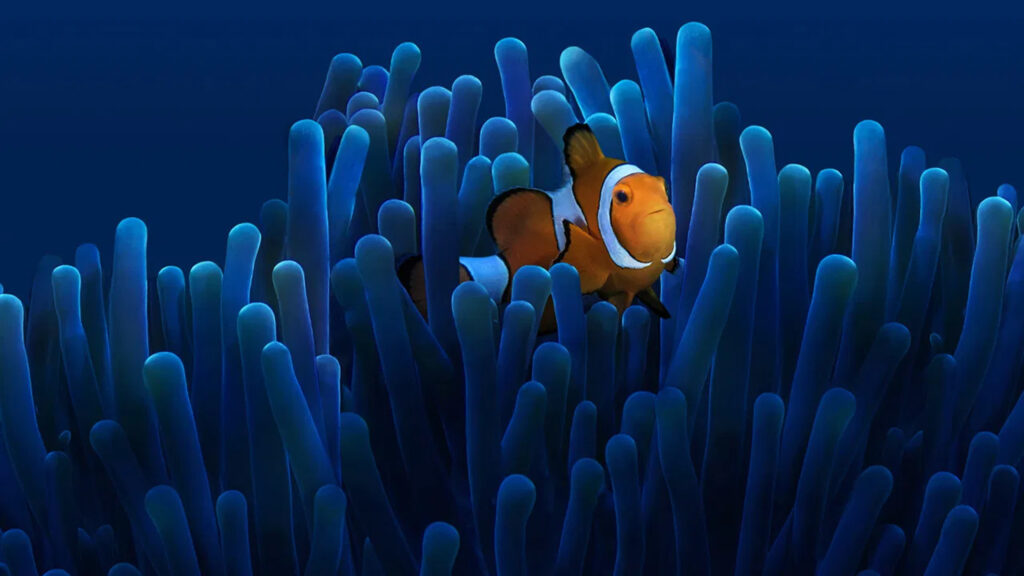 Clownfish in Deep Blue Sea Anemone 4K Desktop Wallpaper