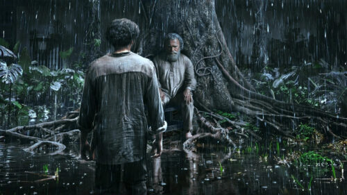 Rainy Jungle Encounter 4K Wallpaper