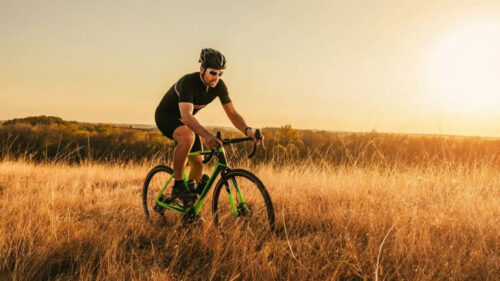 Cyclist Riding Through Golden Field Desktop Wallpaper